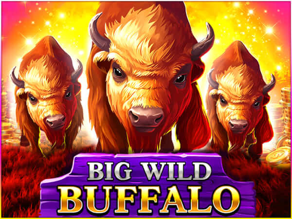 online casino matched betting